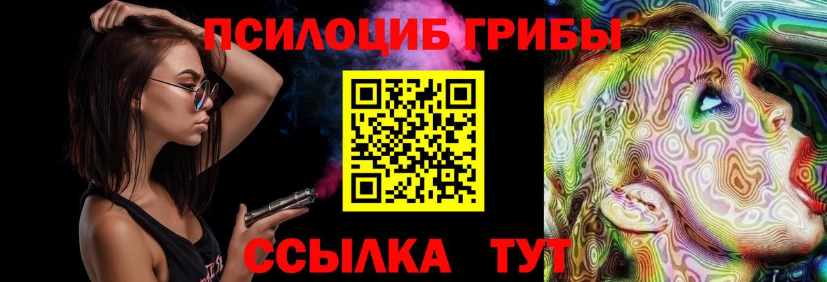 купить закладку  Псилоцибиновые грибы прущие грибы  Вход с VPN  Псилоцибиновые грибы мухоморы  Ачхой-Мартан 